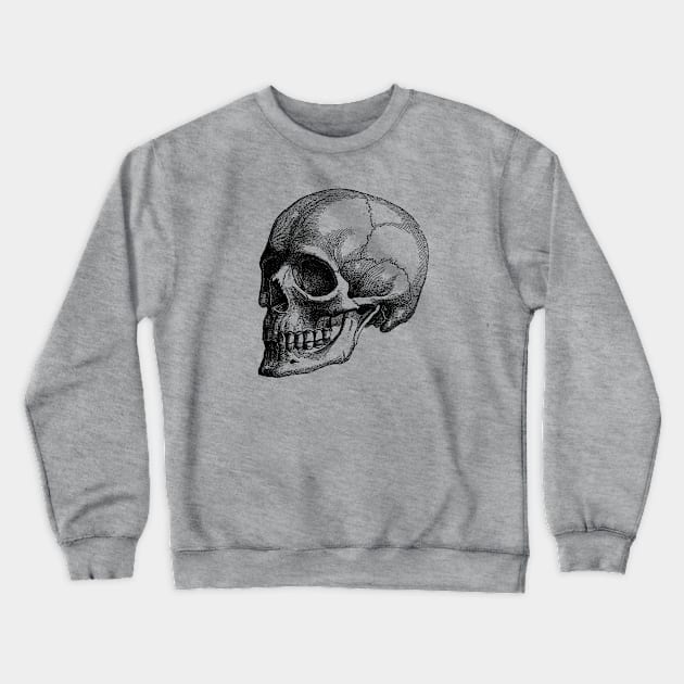 Human Skull - Vintage Anatomy Crewneck Sweatshirt by Vintage Anatomy Prints